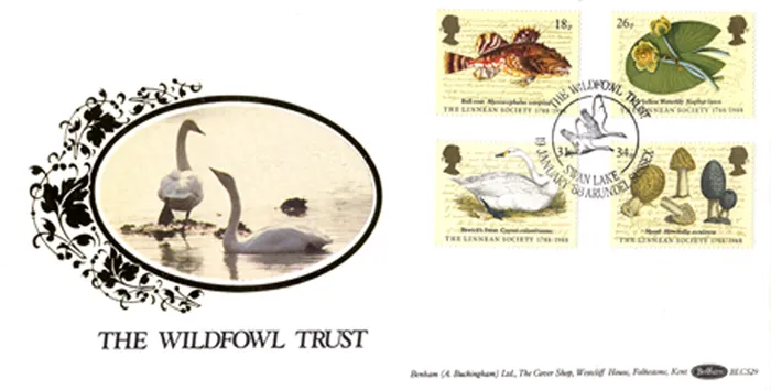1988_BLCS29_Linnean
