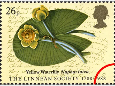 Linnean Society: 26p