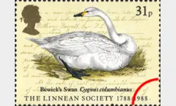 Linnean Society: 31p