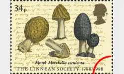 Linnean Society: 34p