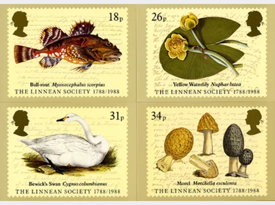 Linnean Society