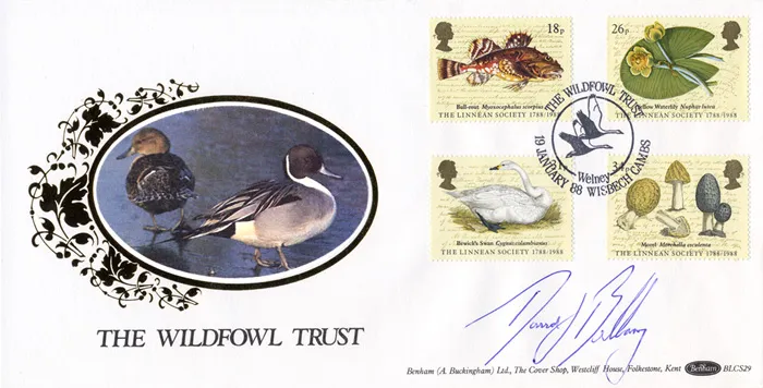 1988a_Wldfwl_BLCS29 1988a_Wldfwl_BLCS29