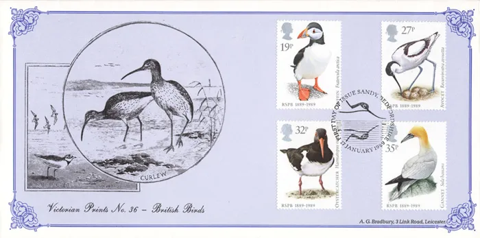 1989-VP36-Birds