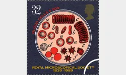 Microscopes: 32p