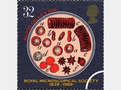 Microscopes: 32p