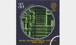 Microscopes: 35p