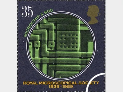 Microscopes: 35p