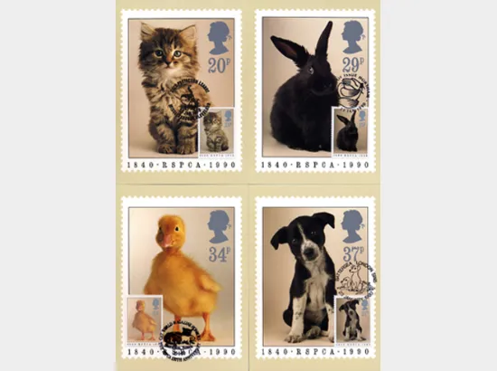 RSPCA