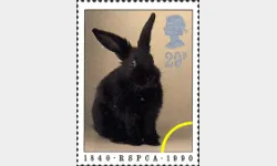 RSPCA: 29p