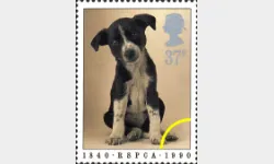 RSPCA: 37p