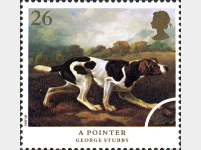 Dogs: 26p
