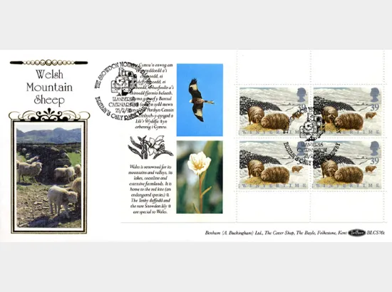 PSB: Cymru-Wales - Pane 1