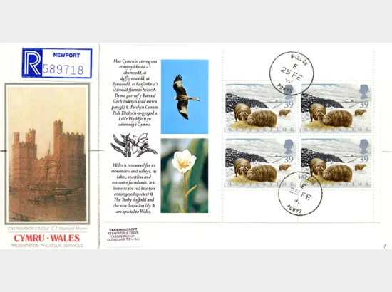 PSB: Cymru-Wales - Pane 1