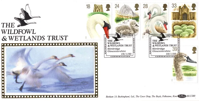 1993_BLCS80_Swans 1993_BLCS80_Swans