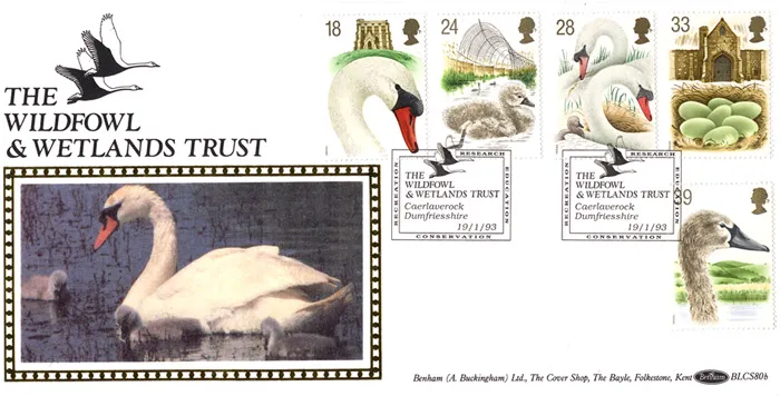 1993_BLCS80b_Swans2