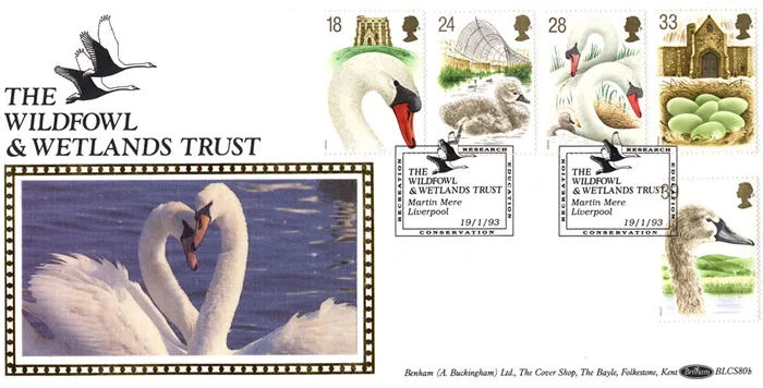 1993_BLCS80b_Swans3