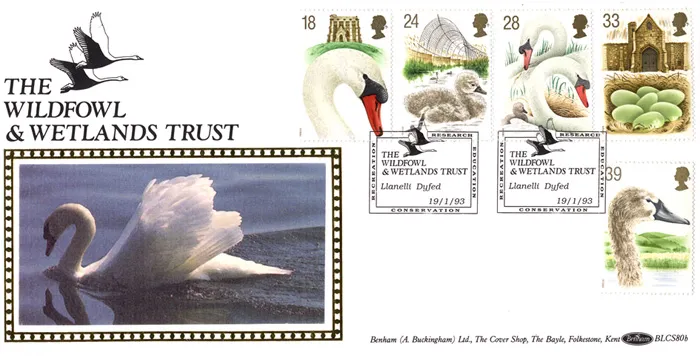 1993_BLCS80b_Swans4