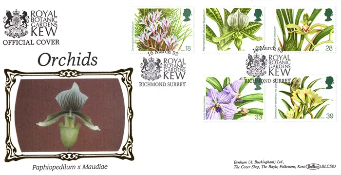 1993_BLCS83_Orchid