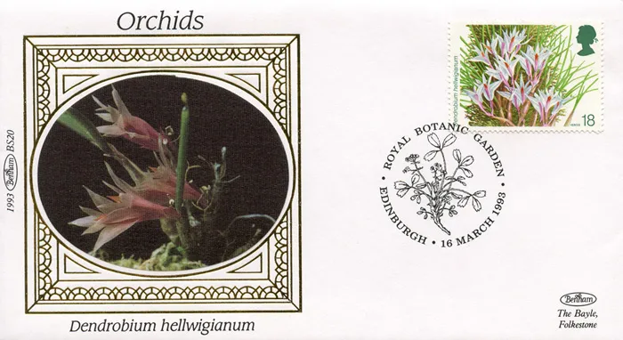 1993_Orchids_BS_20 1993_Orchids_BS_20