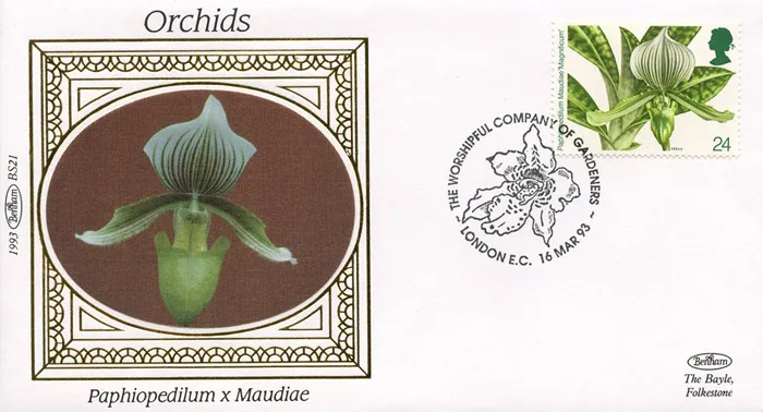 1993_Orchids_BS_21 1993_Orchids_BS_21