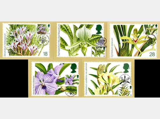 Orchid Conference