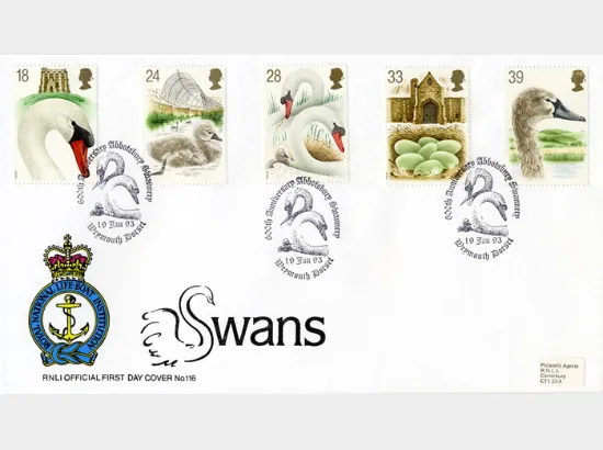 Swans