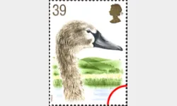 Swans: 39p