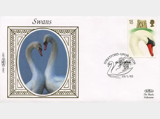 Swans