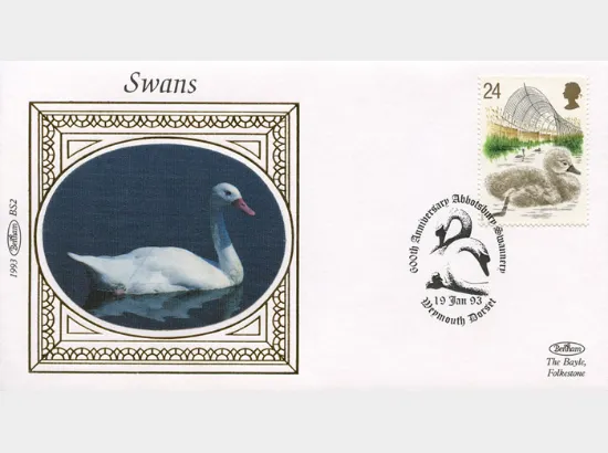 Swans