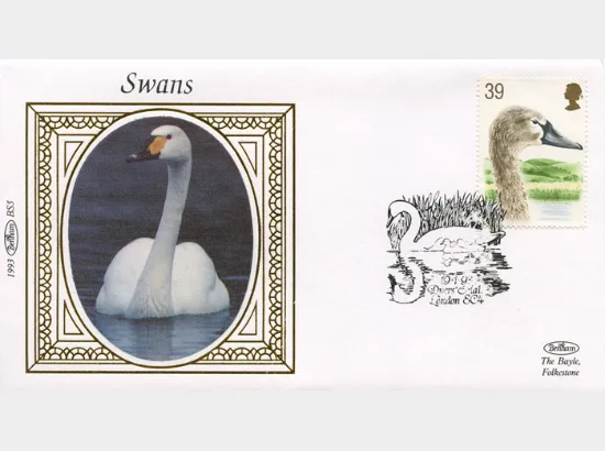 Swans