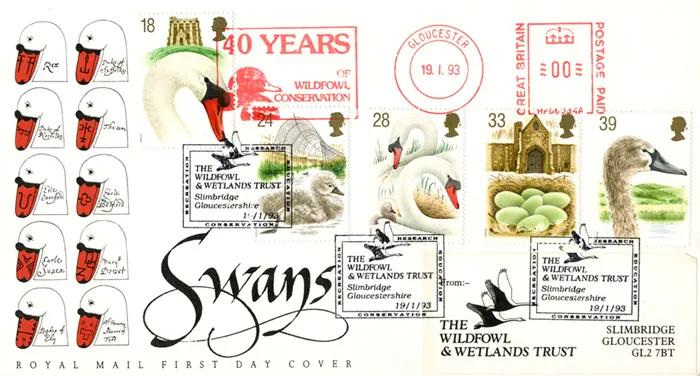 1993_Swans_POmm1
