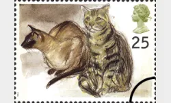 Cats: 25p