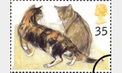 Cats: 35p