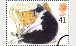 Cats: 41p