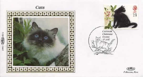 Cats Cats