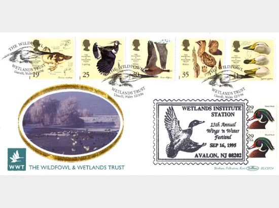 Wildfowl & Wetlands Trust