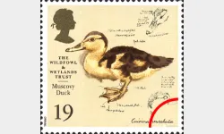 Wildfowl & Wetlands Trust: 19p