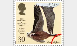 Wildfowl & Wetlands Trust: 30p
