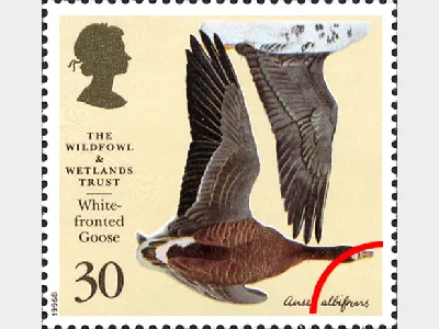 Wildfowl & Wetlands Trust: 30p