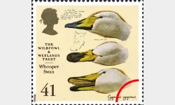 Wildfowl & Wetlands Trust: 41p