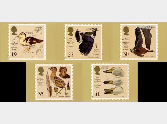 Wildfowl & Wetlands Trust