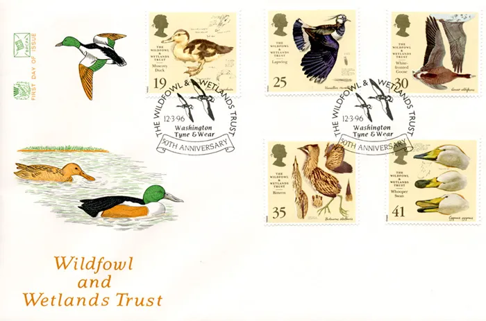 1996_Wetlands_Stu_hs