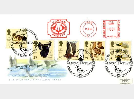 Wildfowl & Wetlands Trust