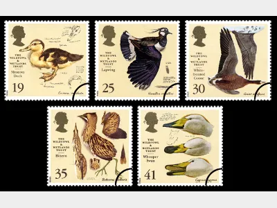 Wildfowl & Wetlands Trust