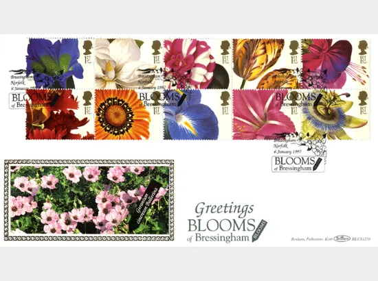 Flower Paintings (Greetings)