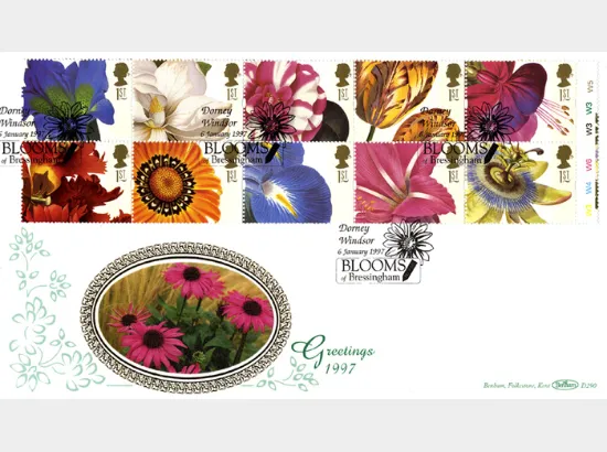 Flower Paintings (Greetings)