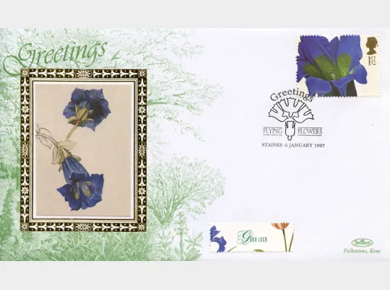 Flower Paintings (Greetings)