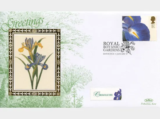 Flower Paintings (Greetings)