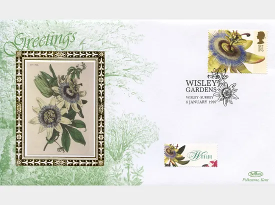 Flower Paintings (Greetings)