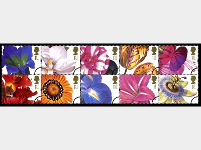 Flower Paintings (Greetings)